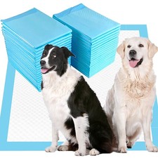 Extra Large Dog Training Pads 36x36, 40 Count Absorbent Leak-Proof
