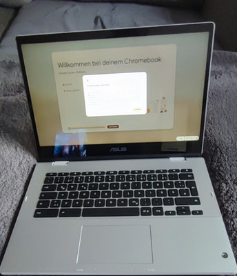 ASUS Chromebook Flip cm1400Fx , Chrome OS, Silber, Modell C423NA, realtek