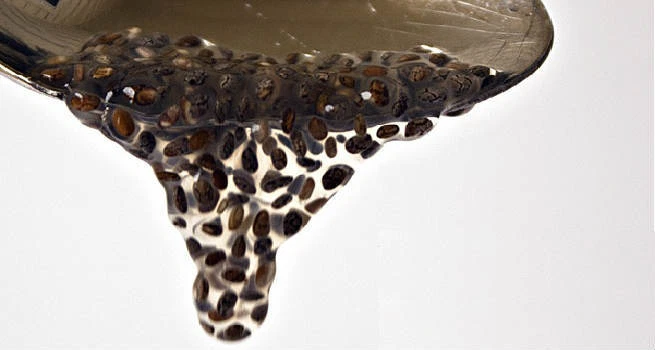 Aceite de pescado Omega 3 6 9 - Aceite de semilla de chía 2000 mg - Promueve las píldoras de bienestar 2 BOT  Foto 4 de 4