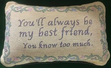 Pillow: 'You'll always be my best friend, You know too much' Pillow! 12"x8"x4" 