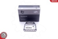 Esen SKV SteuergeräT Ballast FüR Seat Ibiza IV BMW 1Er 6J5 6P1 6J1 6P5