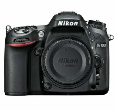 Nikon D7100 Body | eBay