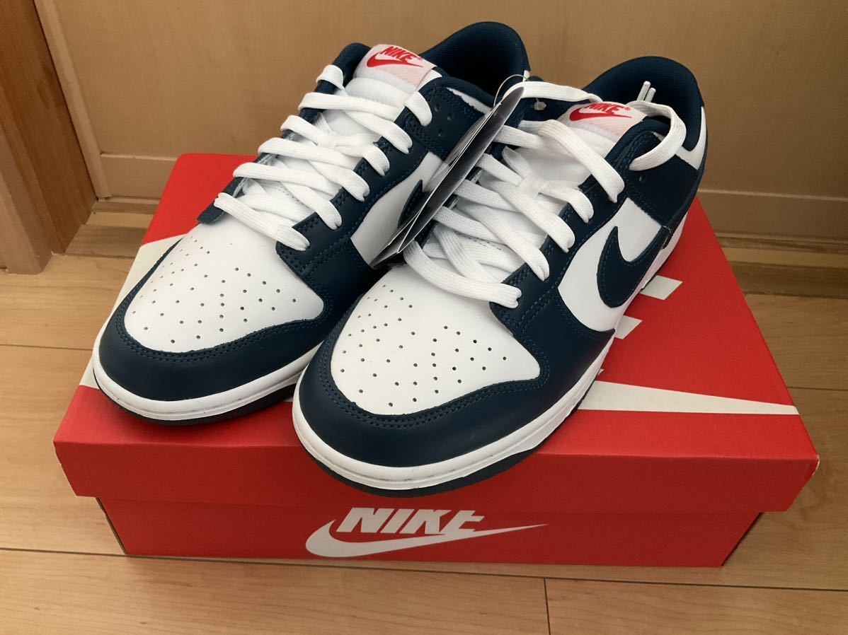 NIKE Men 9.5US Dunk Low Valerian Blue
