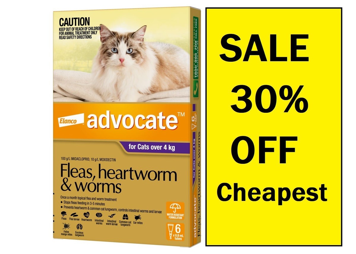 Ear Mites Advocate Cat Pack Bayer Elanco Advocate Spot On For Cats