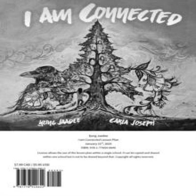 I am Connected Teacher Lesson Plan Medicine Wheel Publishing Loos