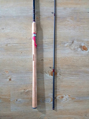 Shimano Forcemaster BX 27M Spinnrute 2,70m 10-30g Neu Zander
