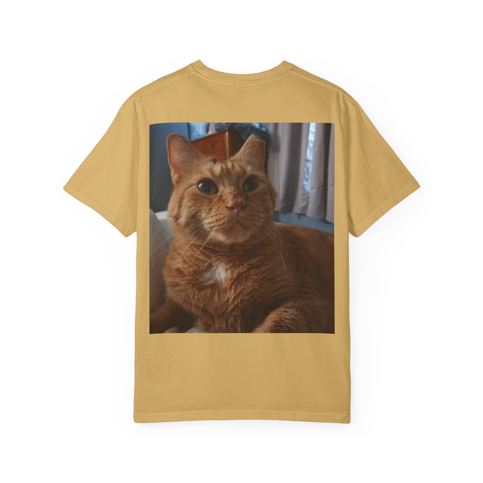 ALTRA T shirt fedeltà al regno animale maglietta ecologica amante degli animali [...]