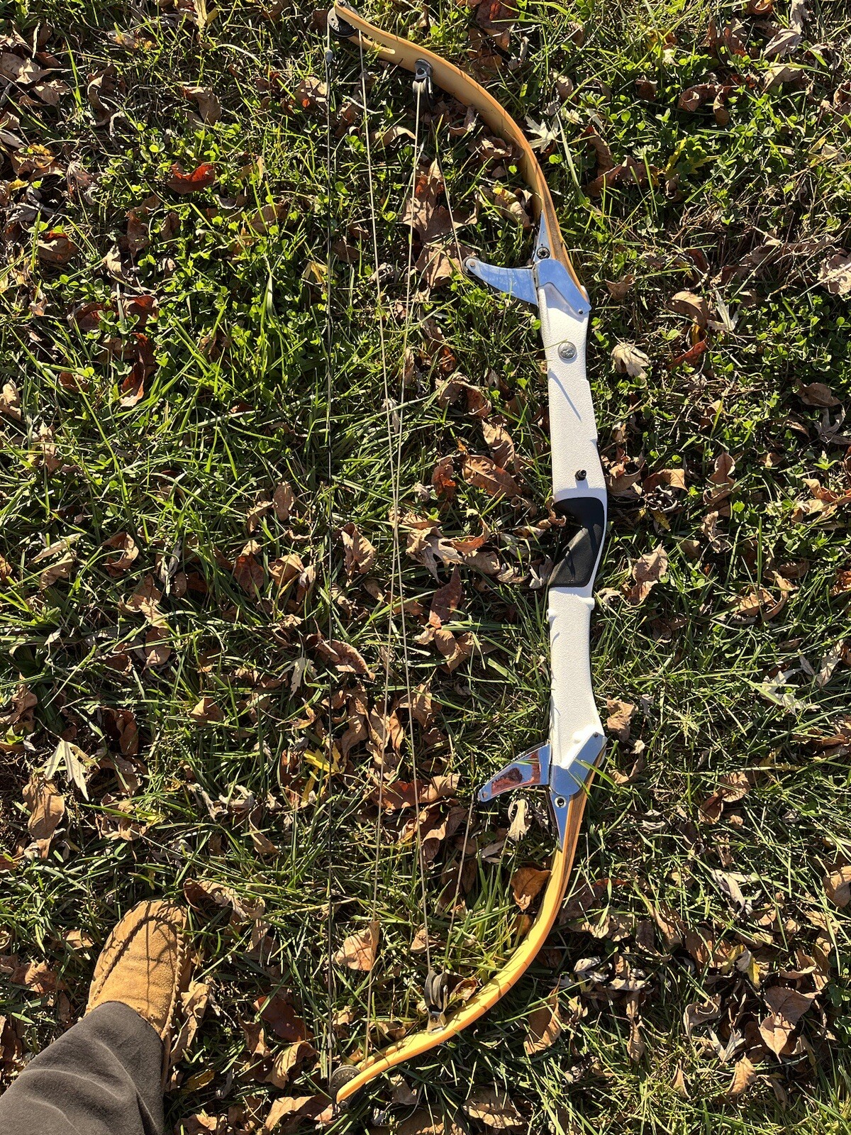 Bear Archery RH Tamerlane II Compound Bow COMPETITION NICE Condition eBay