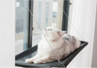 Cat Window Perch For Summer Cat Hammock Window Seat