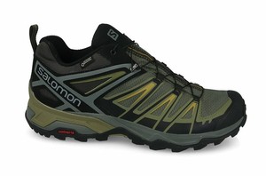 salomon assault