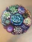 Mys Aurora Wooden Puzzle Succulent World 200 Pieces 10.9 X 11.3 Inches — photo 2