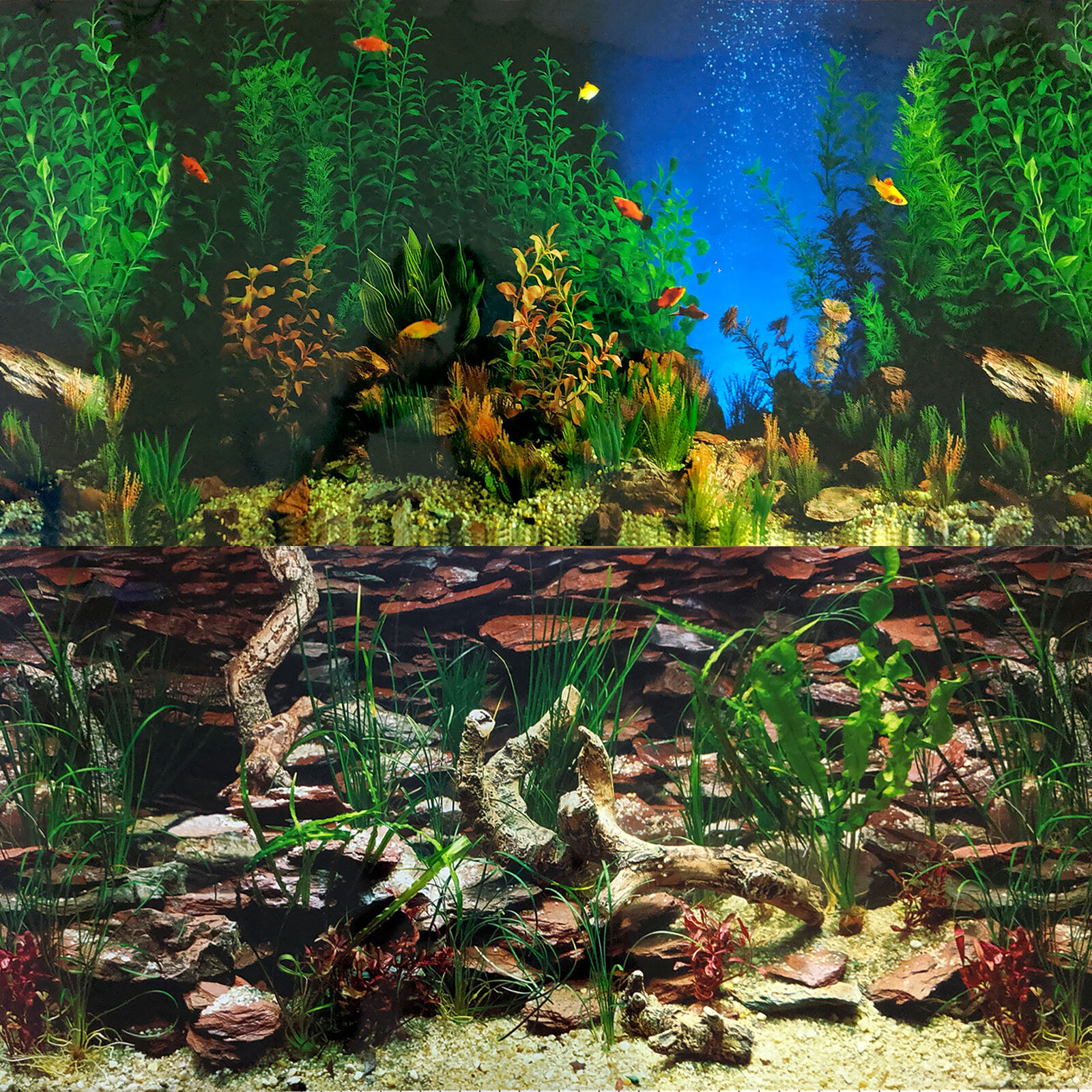 Aquadcadabra's Guide on How to Decorate a Fish Tank – Aquacadabra