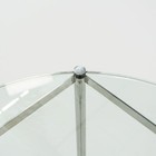 Bild 10 von 12