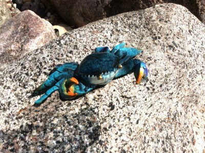 Dungeness Crab #1 Blue ~ The Cutest little Guy You'll ever SEE Statue Figurine