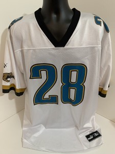 fred taylor jersey