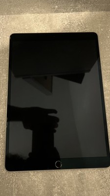 Apple IPad Pro 2. Gen 10.5 Zoll Space Gray 256GB  (2017)  WI-FI Cellular