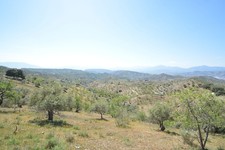 26000m2 Land Alora Malaga