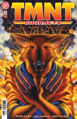 Tmnt: Journeys #11 CVR A Dooney & Lawson Pre Order 7/1/26 IDW Publishing