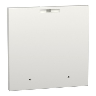 Schneider Electric Frontplattenblindabdeckung LVS03907 Schaltschrank-Systeme