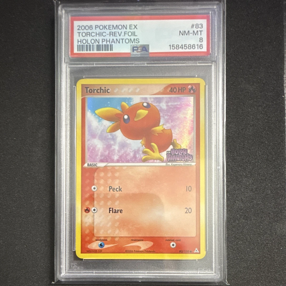 Torchic