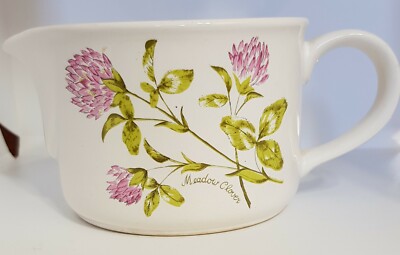 Royal Worcester Company Palissy Sauciere