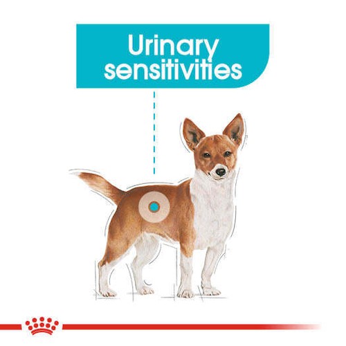 Sacchetti umidi per cure urinarie cibo per cani adulti in pagnotta, 85 g - Foto 3 di 9