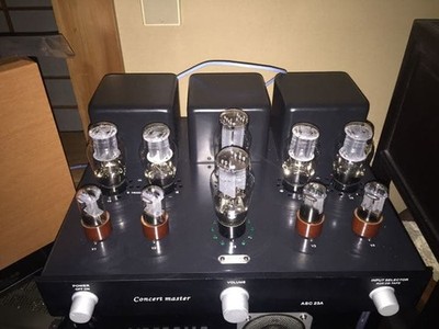 2A3 PP Vacuum Tube Amplifier 15W x2 RCA Tubes 6N8P 5U4G Used