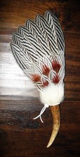 SILVER PHEASANT NATIVE AMERICAN SMUDGE FEATHER FAN ANTLER