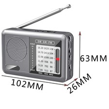 Travel and Leisure Small Size AM FM SW Radio with Rechargeable Battery for