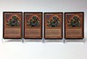 (4) Magic: The Gathering Misguided Rage MTG 1993-2003 Scourge LP