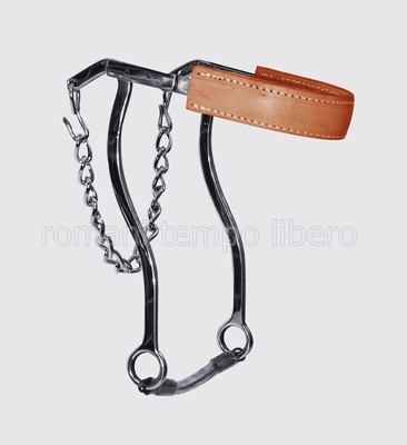 Branche de Hackamore Inox 607812100