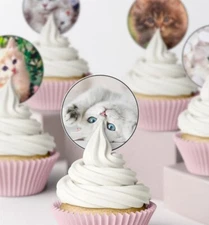 Edible Cute Kittens Cats Icing Wafer cupcake Topper Birthday Decoration