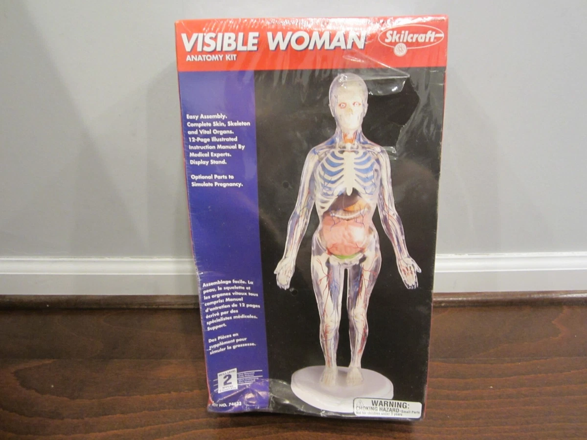 VISIBLE WOMAN Anatomy Kit (Plastic Model Kit) (Skilcraft) (CRUNCHED Box) SEALED