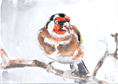 Stieglitz, orig.Aquarell, Grafit,Tusche, jap.Aquarellfarbe, 13 cm x 18 cm x 1 mm