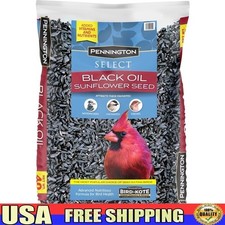 Premium Black Oil Sunflower Seed Wild Bird Feed 10lb High Protein Attraction New