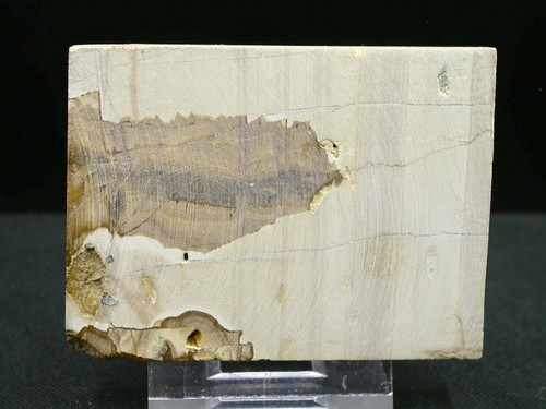 PAESINE - FLORENCE, TOSCANE, ITALIE - 6,8 x 5,1 x 0,9 cm - 85,5 g - Imagen 5 de 5