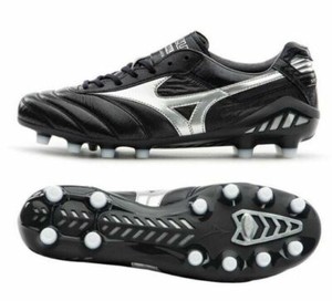 mizuno morelia dna