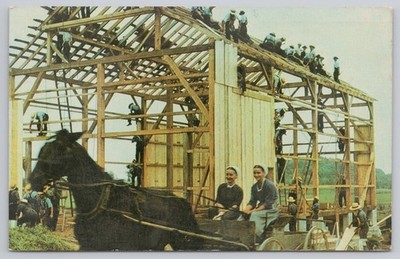 Postcard AMISH Barn Raising The Penna. Dutch Country'' c1964