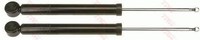 2X TRW StoßDäMpfer JGT467T FüR Seat Skoda VW