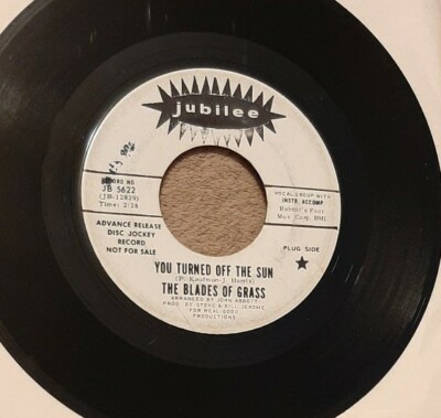 The Blades of Grass WLP promo 45 The Way You'll Never Be You Turned Off the Sun