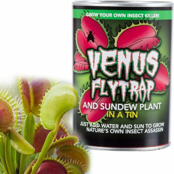 EG7100 Venus Fly Trap and Sundew Tin Grow Your Own Plant Kit for sale