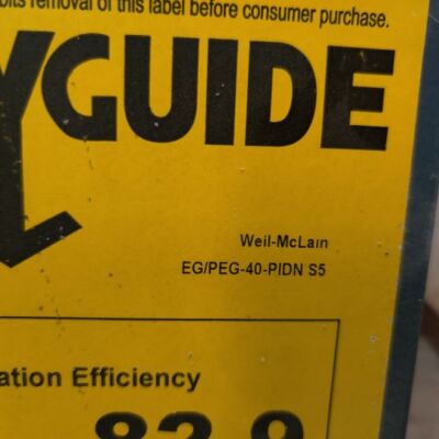 Weil-McLain EG/PEG-40 PIDN S5 Steam Boiler