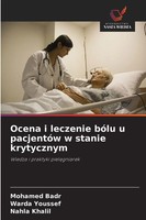 Ocena I Leczenie BóLu U PacjentóW W Stanie Krytycznym Mohamed Badr (U. A.) Buch