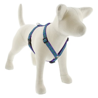LupinePet Roman Harness   Rain Song Pattern, Durable, Multiple Sizes