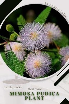 Andrey Lalko Mimosa pudica plant (Taschenbuch) (US IMPORT)