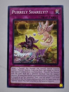 Purrely Sharely!? - DUNE-EN075 - Common - 1st Edition