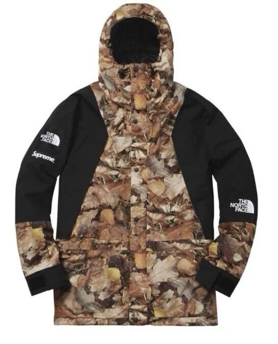 Supreme The North Face Mountain Light Jacket Size L TNF leaf Supreme The North Face Mountain Light Jacket Size L TNF leaf