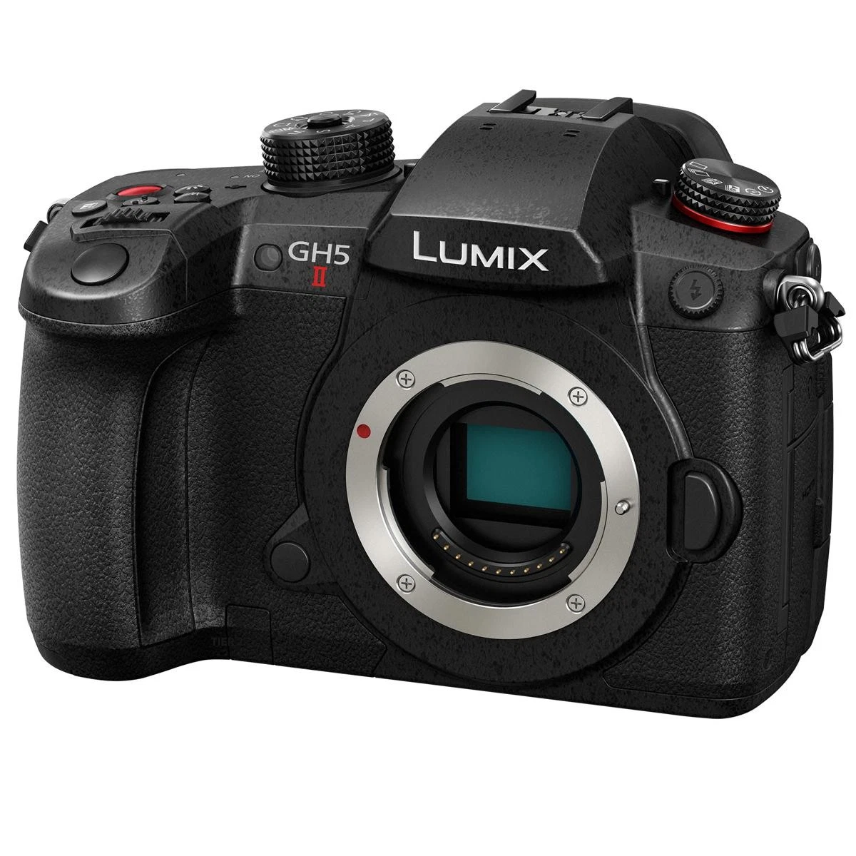 Panasonic LUMIX GH5 Digital Cameras for Sale | Shop New & Used