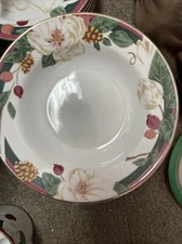 Magnolia by Tienshan - 44 pcs (8 place settings) of Fine China, RETIRED STYLE