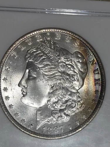 1887 $1 Morgan Dollar NGC MS65 Toned
